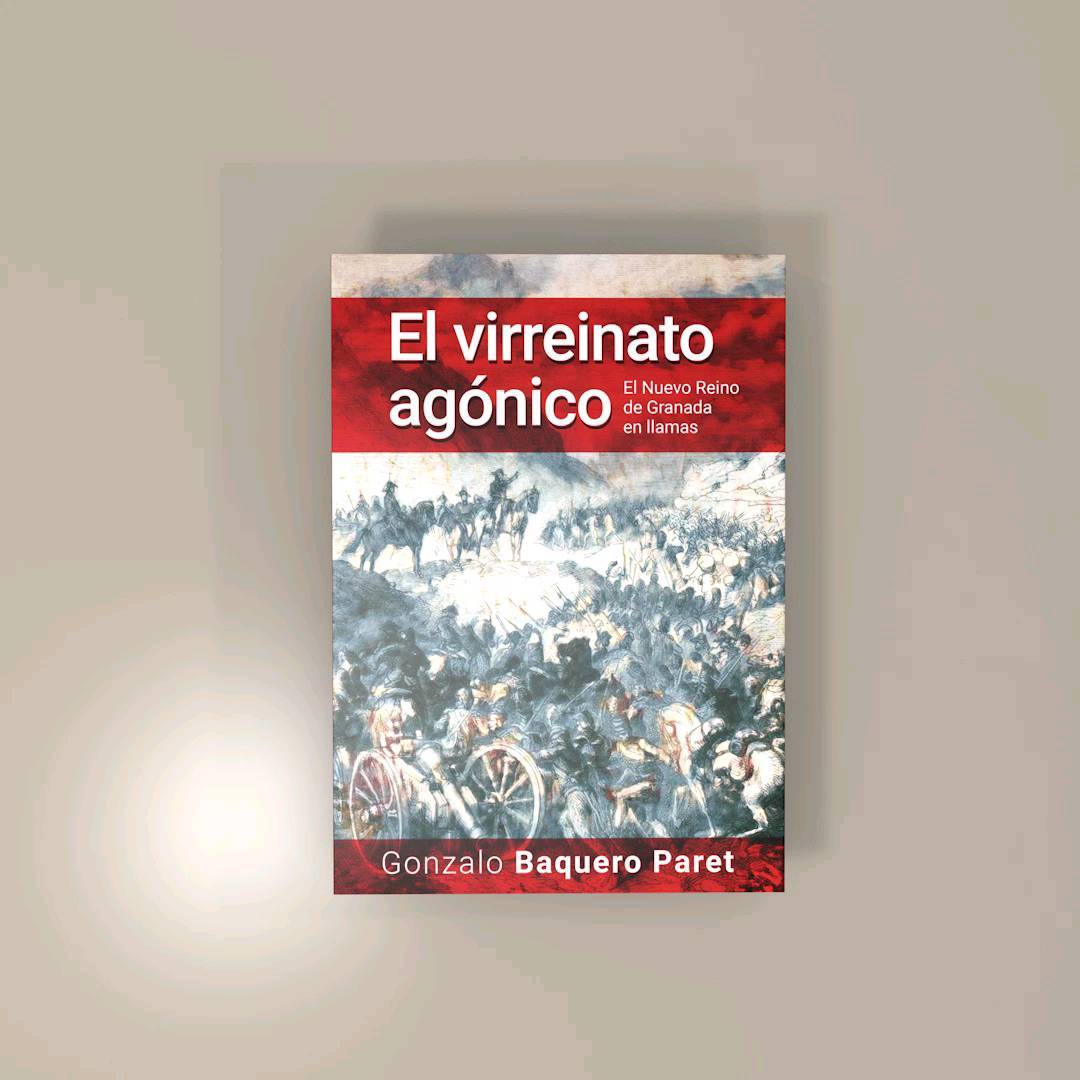 Hermosa novela, El virreinato agónico d...